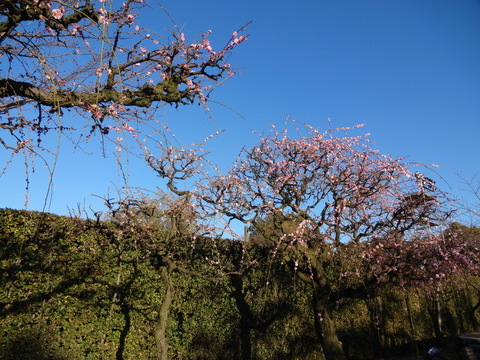 20140322 (42)