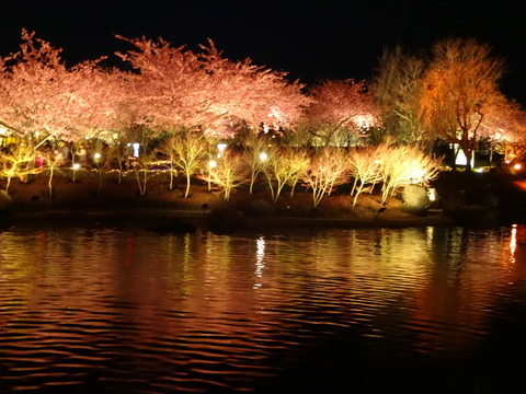 20140322 (234)