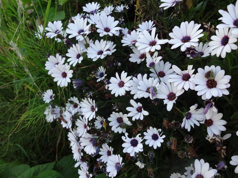 20140505 (13)