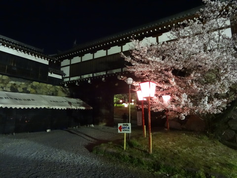 20140404 (77)