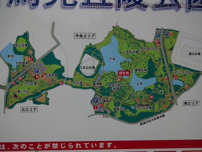 UmamiKyuuryou Park (15)