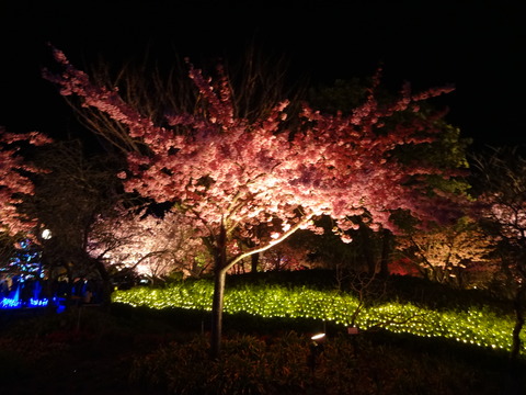 20140322 (107)