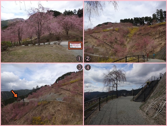Takaminosato (8)