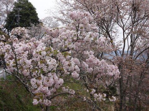 20140413 (4)