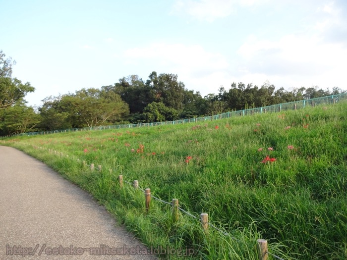 UmamiKyuuryou Park (17)