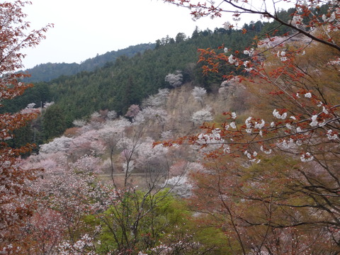 20140413 (13)
