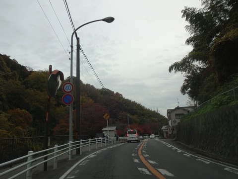 Tatsutagawa (1)
