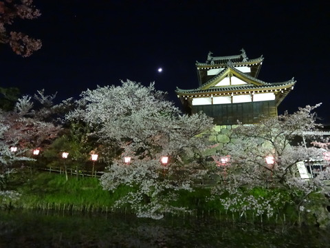 20140404 (91)