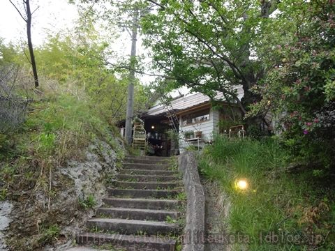 VERT DE GRIS (1)