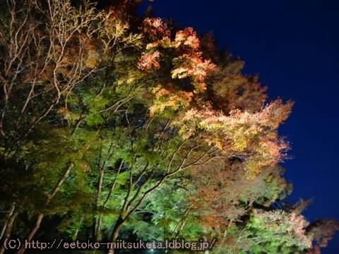 2015奈良の紅葉みぃつけた！ ～吉野山 編～　（4/4話）