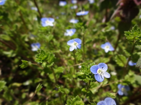 AnouBairin (30)