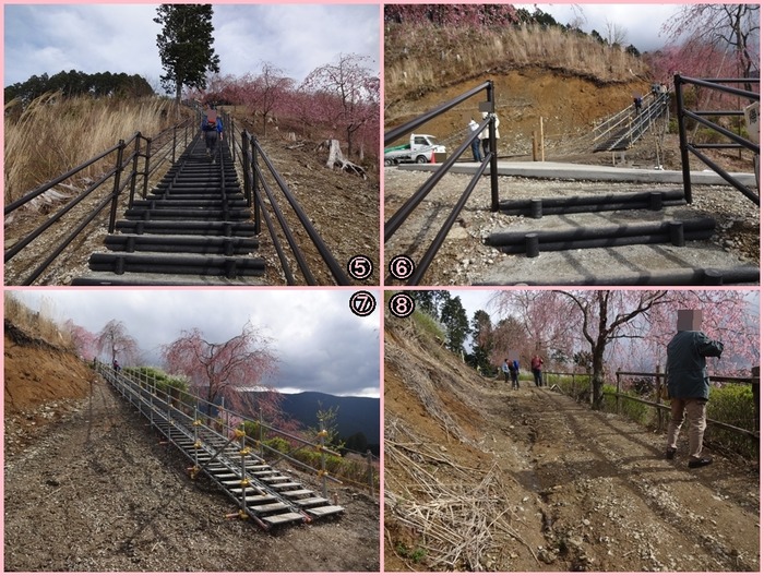 Takaminosato (9)