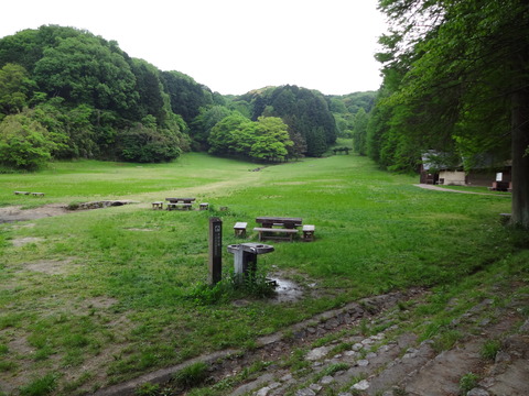 YatayamaAsobinoMori (45)