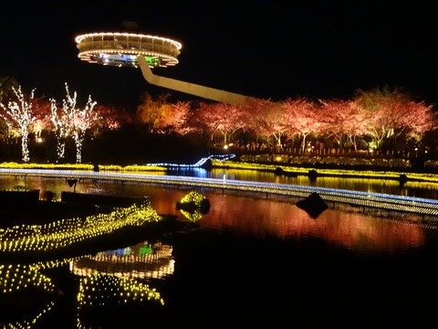 20140322 (251)