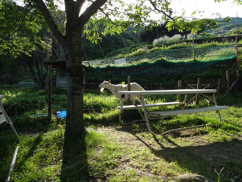 20140505 (68)