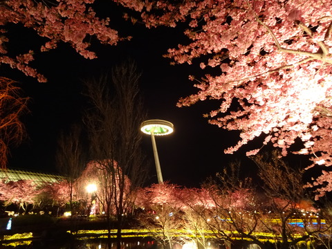 20140322 (156)