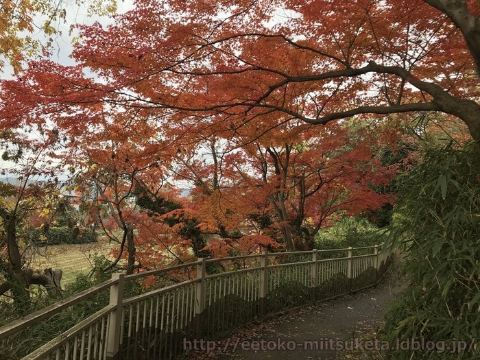 TatsutaPark (17)
