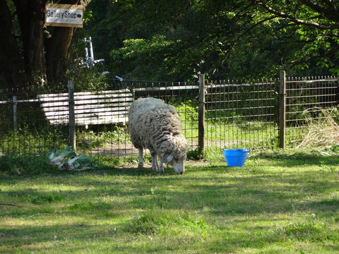 20140505 (27)