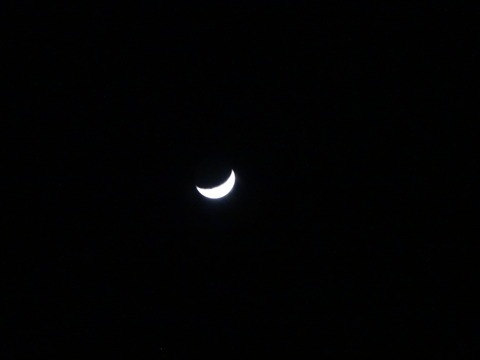 20140404 (99)