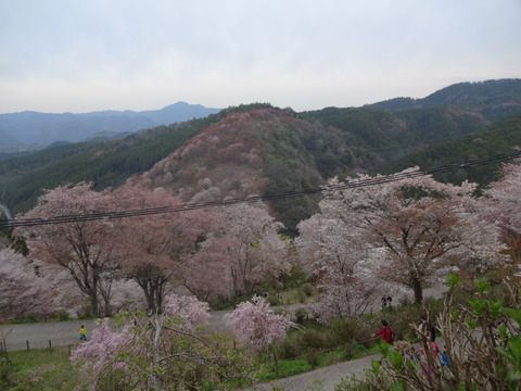 20140413 (47)