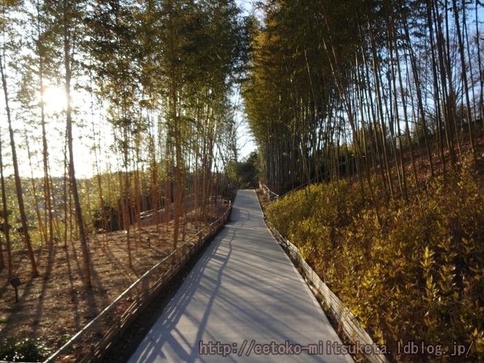 TakayamaPark (20)