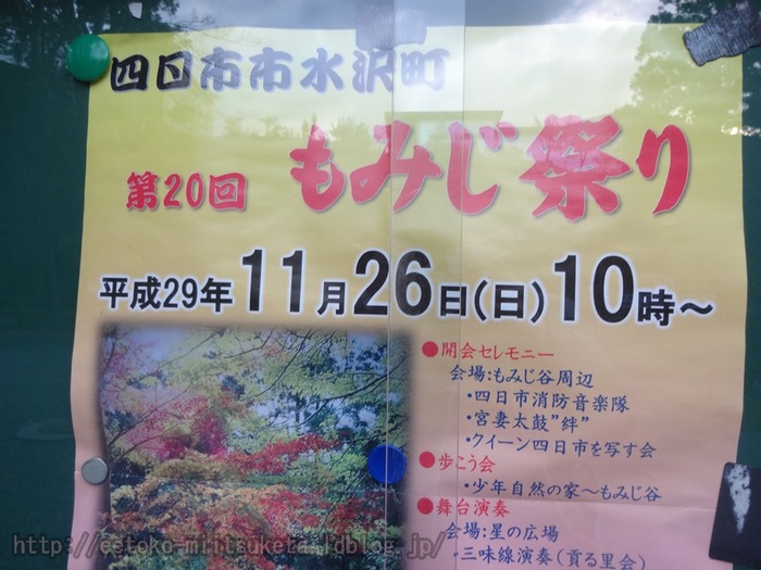 Suizawa-MomijiDani (10)