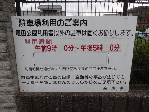 Tatsutagawa (10)