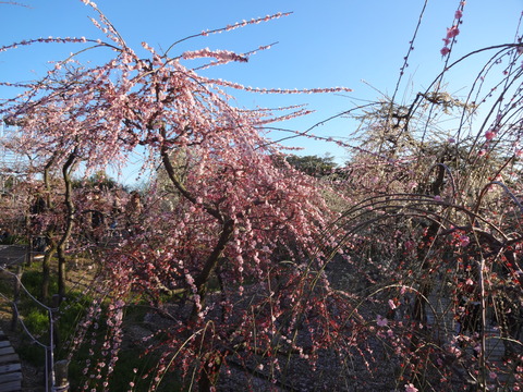 20140322 (45)