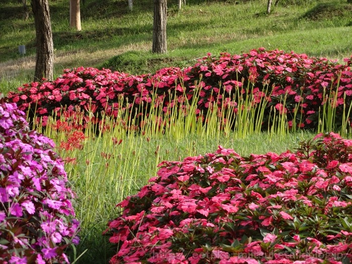 UmamiKyuuryou Park (12)