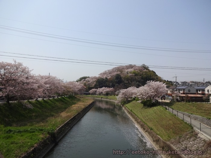 Mimuroyama (4)