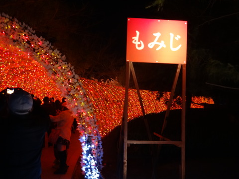 20140322 (219)