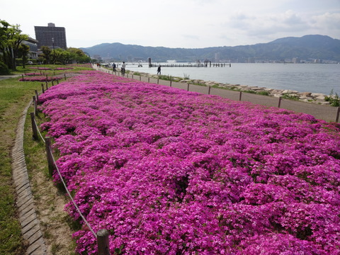 NagisaPark (41)