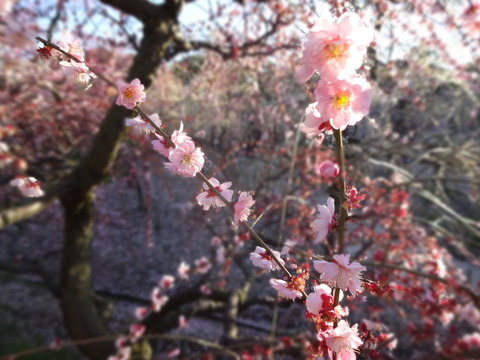 20140322 (48)