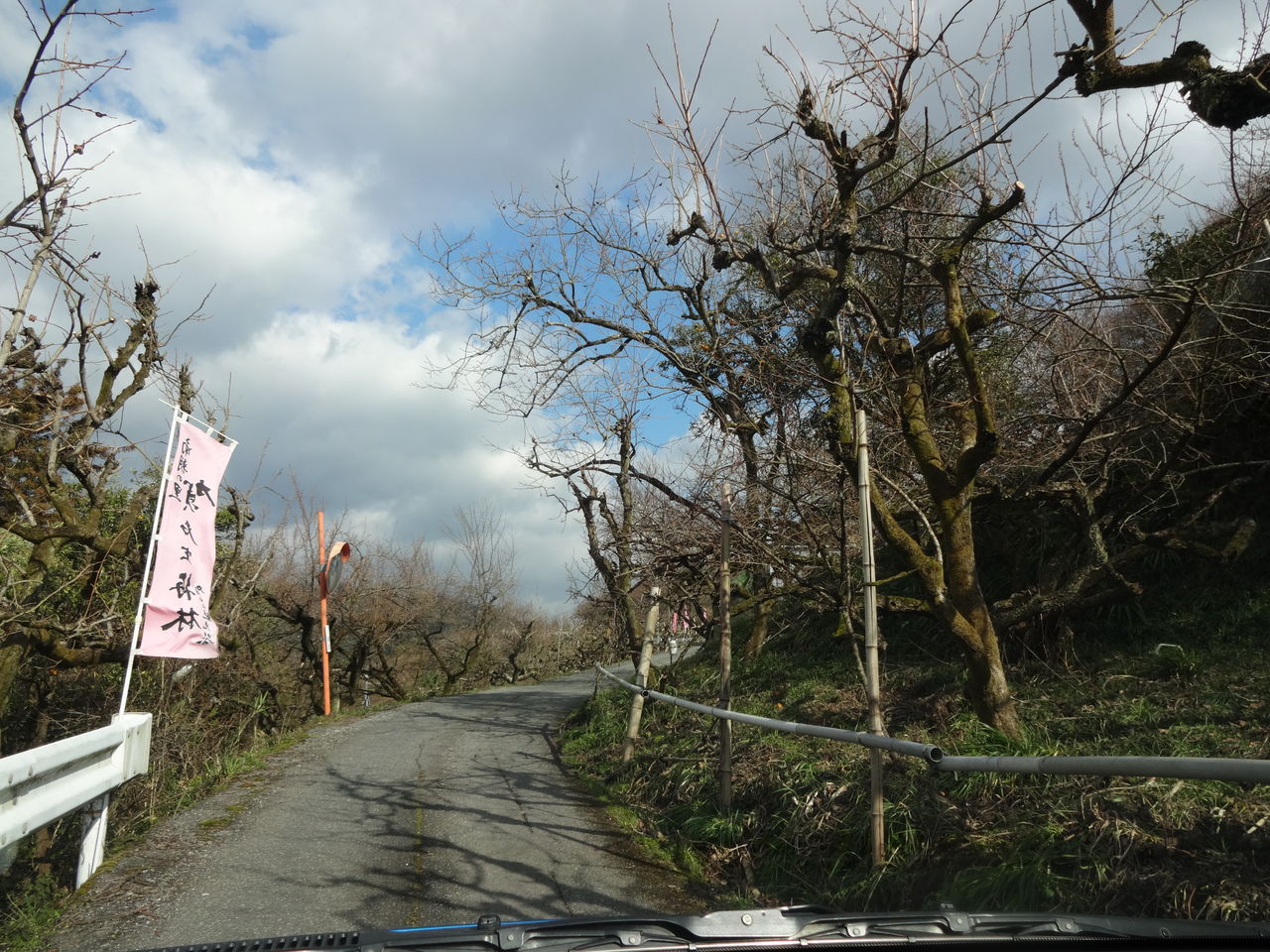 15春の下見ぃつけた 賀名生梅林 編 1 2話 えぇとこみぃつけた 15春の下見ぃつけた 賀名生梅林 編 1 2話 えぇとこみぃつけた