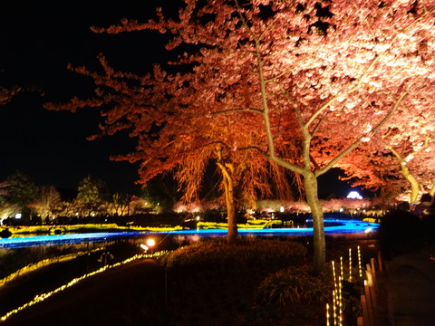 20140322 (137)