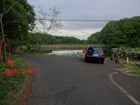 YatayamaAsobinoMori (38)