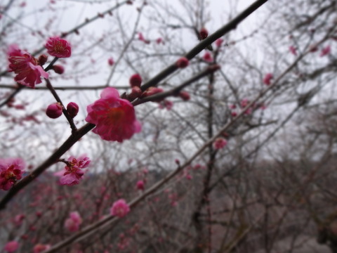 042