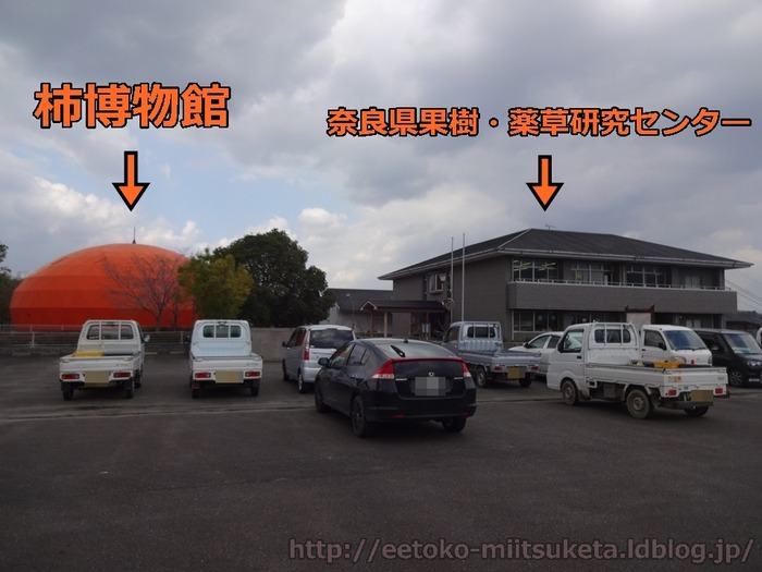 KakiHakubutukan (8)