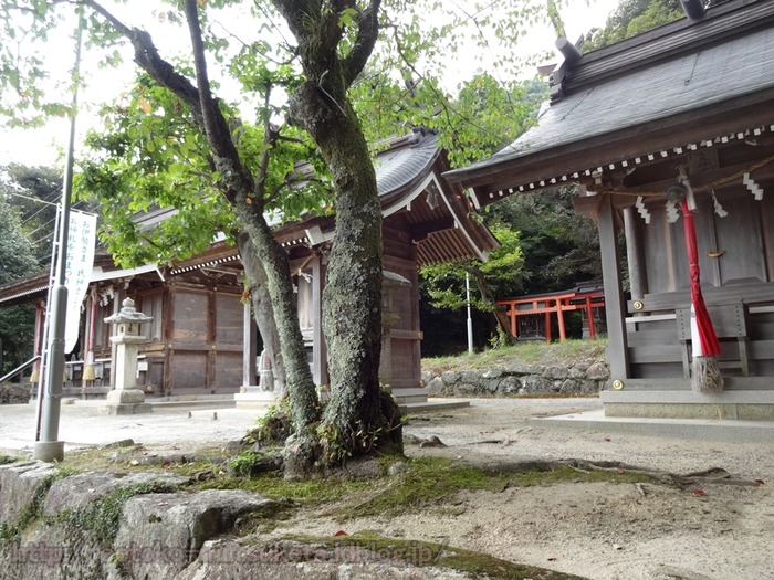 Shirahige (13)