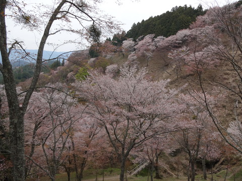20140413 (20)