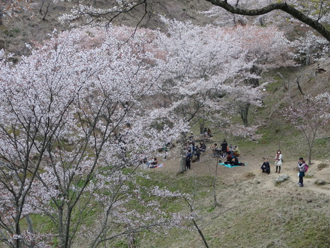20140413 (23)