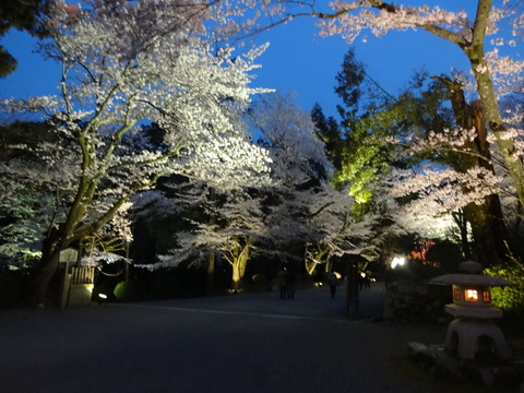 20140407 (42)