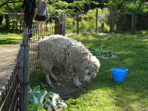 20140505 (47)