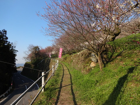 Hirohashibairin (24)