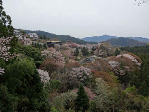 20140413 (16)