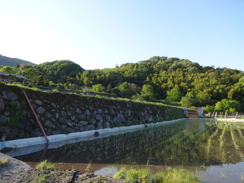 20140505 (96)