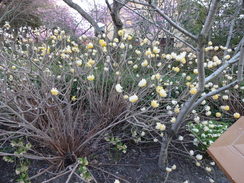 20140322 (80)