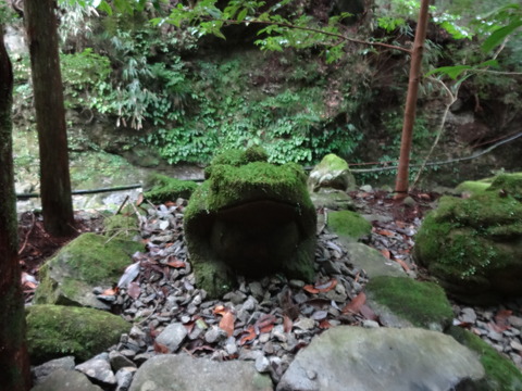 川上山若宮八幡宮みぃつけた！