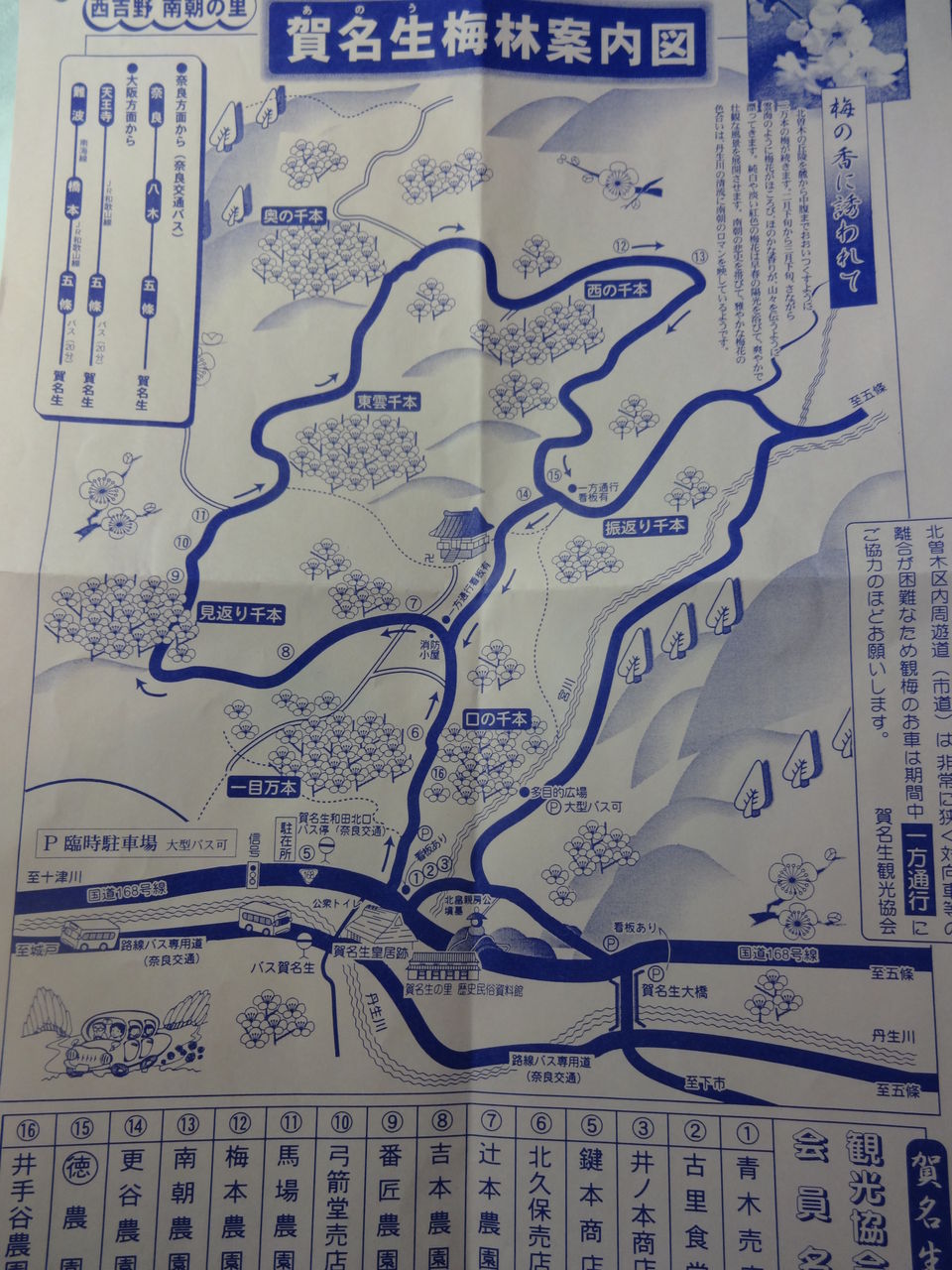 奈良の梅源郷みぃつけた 賀名生梅林 編 1 3話 えぇとこみぃつけた