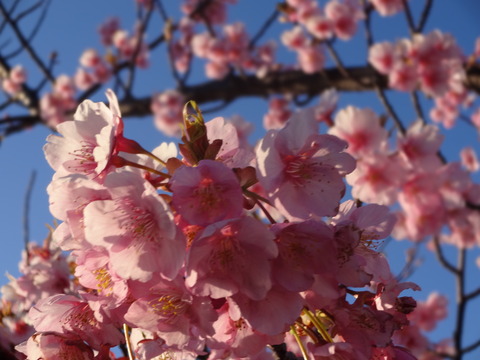 20140322 (63)